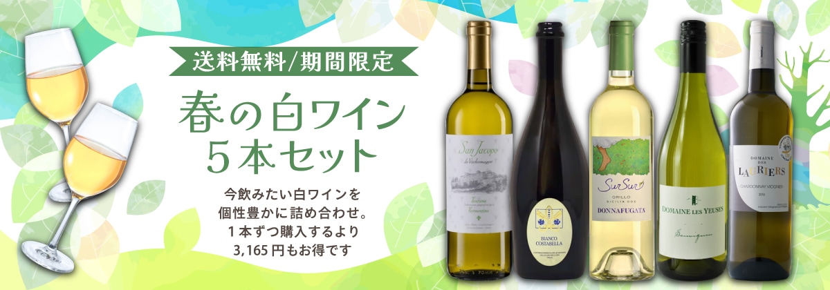 �դΥ磻�󥻥å�