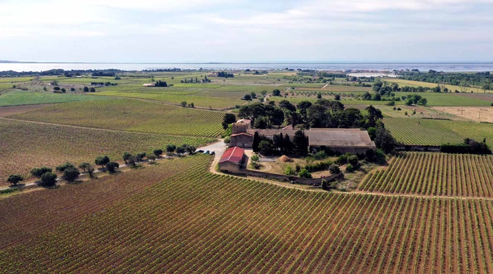 �磻�ʥ꡼�ȹ����Ȫ