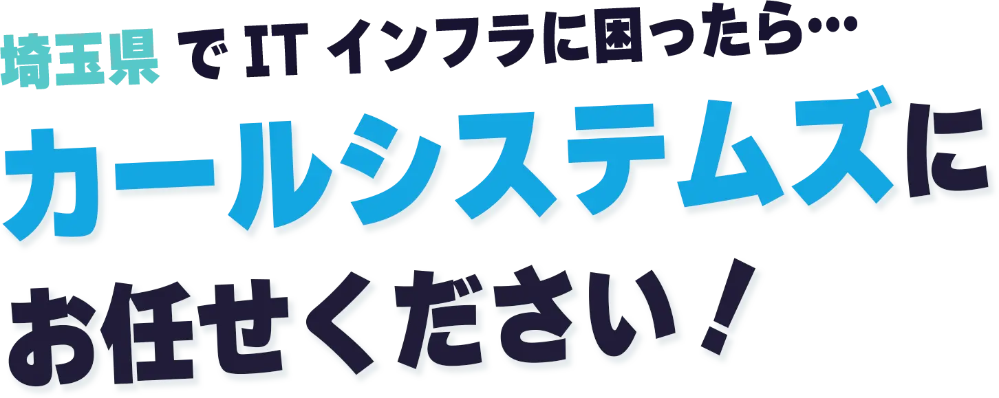 埼玉県でITインフラに困ったらカールシステムズにお任せください！
