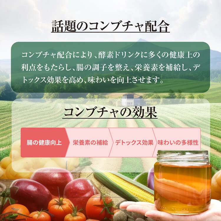 話題のコンブチャ配合