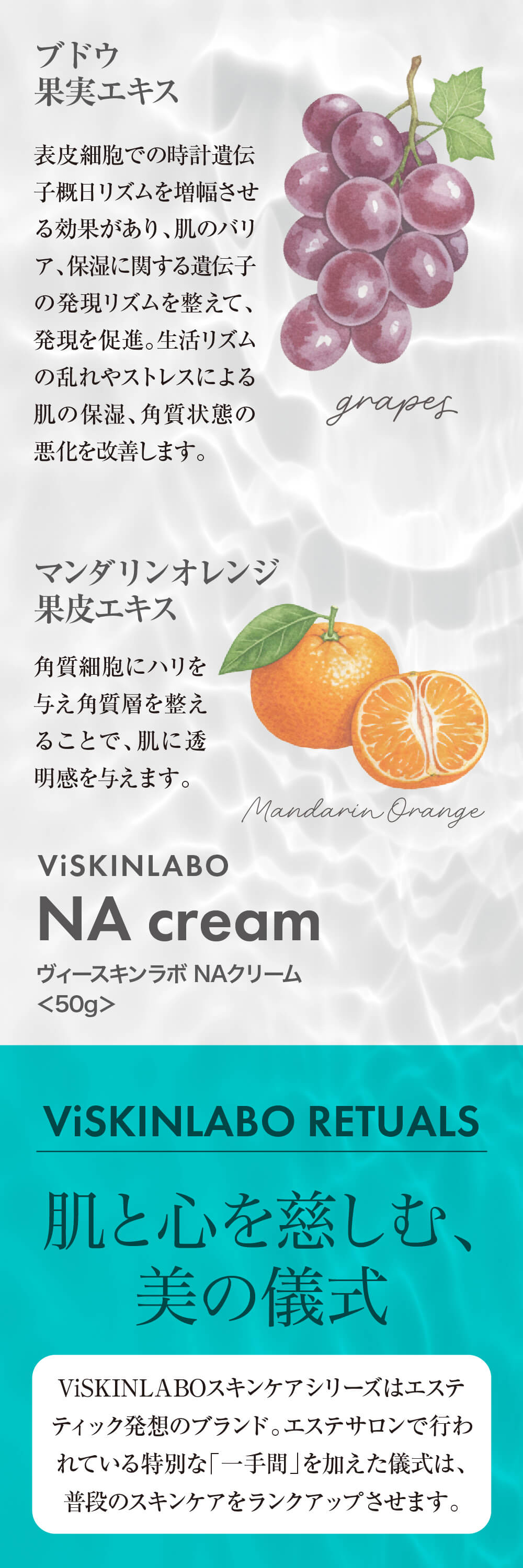 ヴィースキンラボ NAセラムの特徴