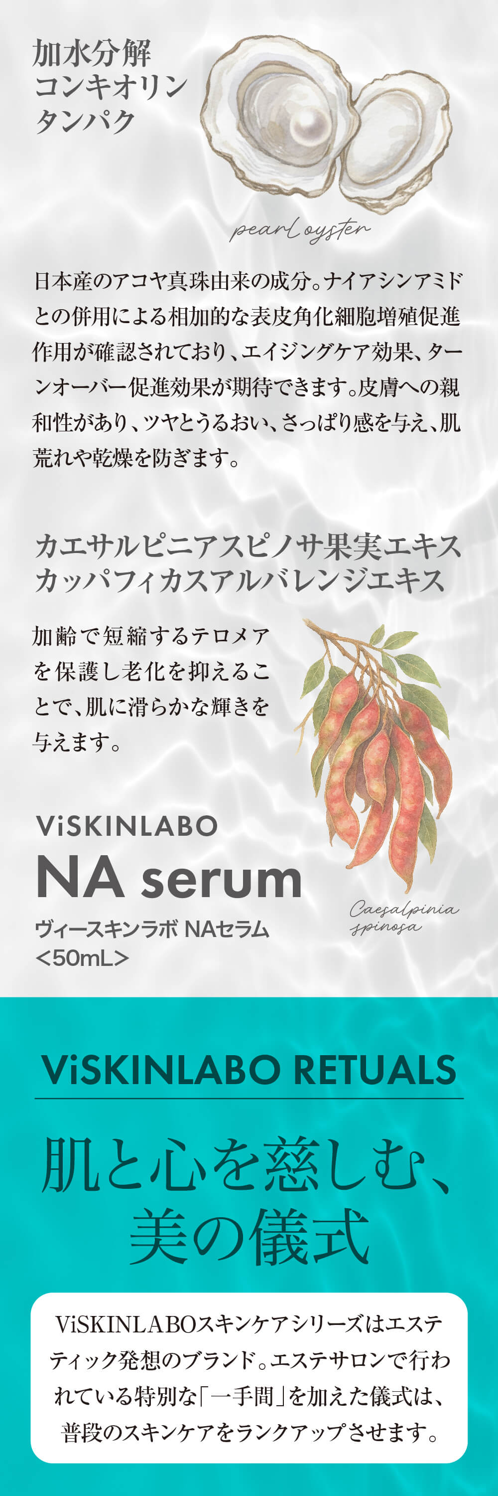 ヴィースキンラボ NAセラムの特徴