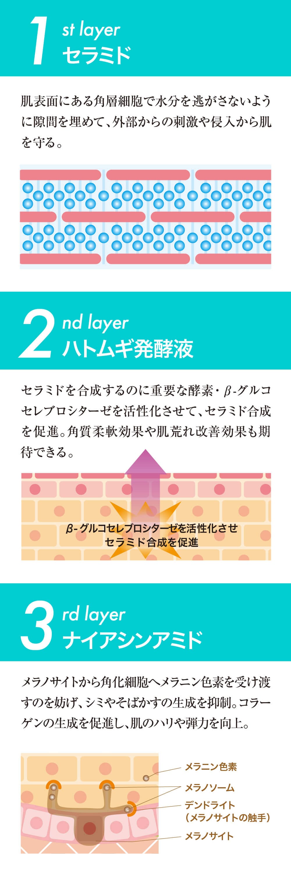 ヴィースキンラボシリーズの紹介