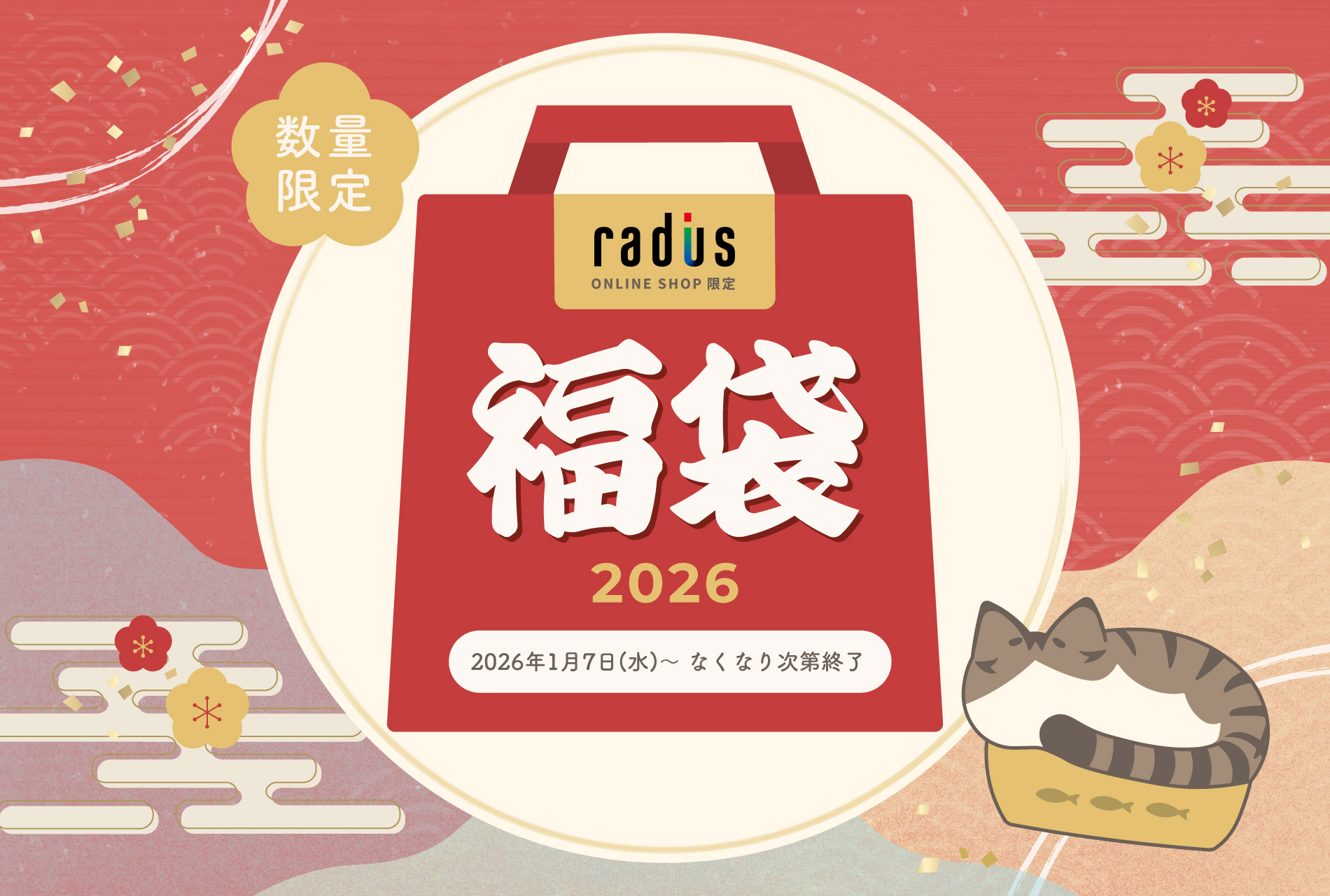 ��ǥ�������������饤�󥹥ȥ� ʡ��2026