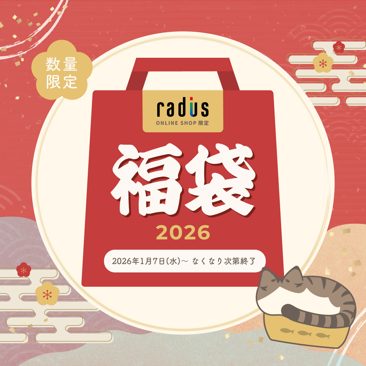 ��ǥ�������������饤�󥹥ȥ� ʡ��2026