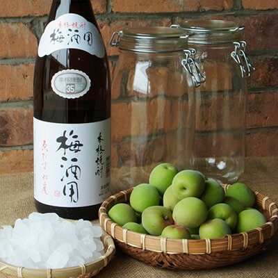 本格焼酎梅酒用３５度・青梅・氷砂糖・広口ビン