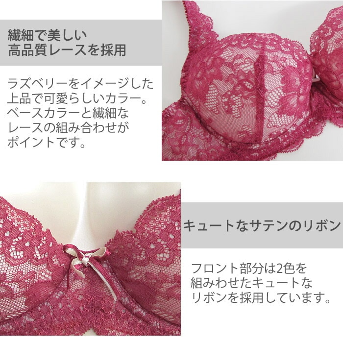 ˡӥ塼ƥ CHASNY BEAUTY CHICAGO LACE-졼- 3/4å åץ֥