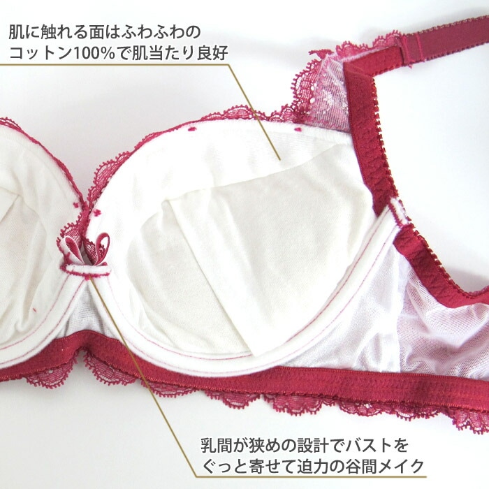 ˡӥ塼ƥ CHASNY BEAUTY CHICAGO LACE-졼-- 3/4å åץ֥