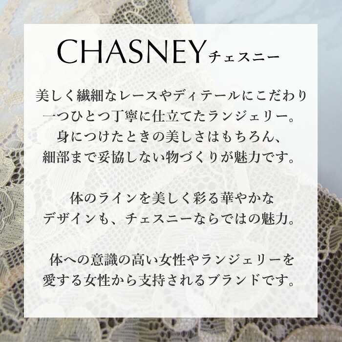 �������ˡ�CHASNY �֥�������