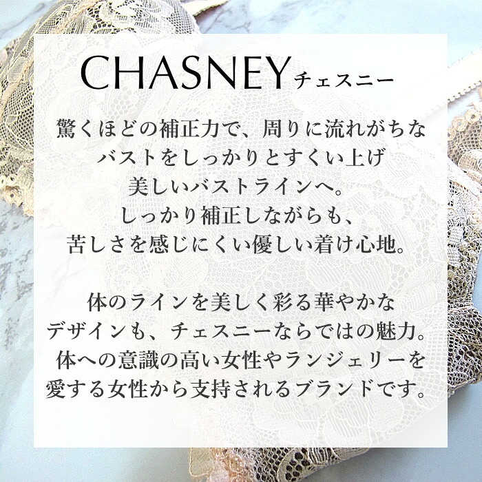 �������ˡ�CHASNY �֥�������