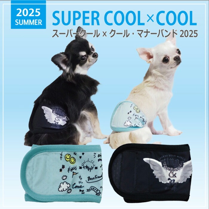 �ƥ饯���륤�᡼��