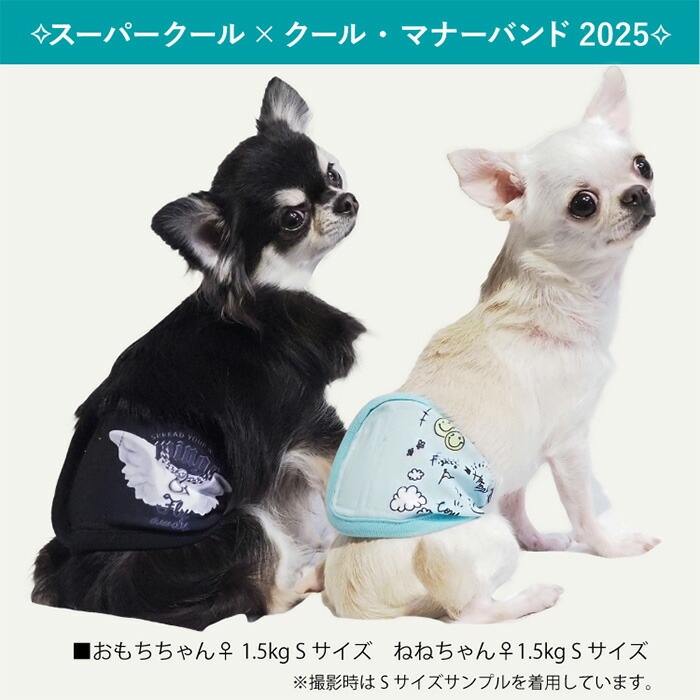 ��������ǥ�1