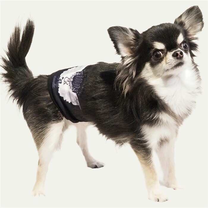 ��������ǥ�2