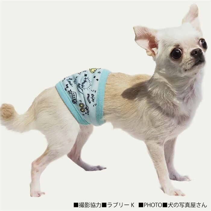 ��������ǥ�3