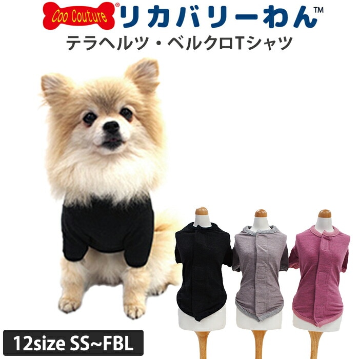 リカバリーわん（旧SWDテラヘルツワン）ベルクロTシャツ 犬用 シニア犬
