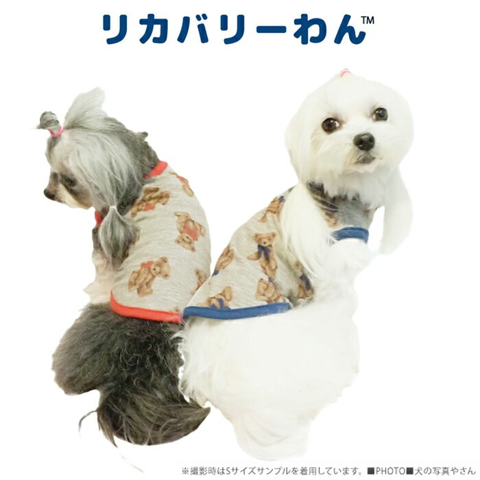 リカバリーわん（テラヘルツワン）テラベアタンク 犬用小型犬 シニア犬