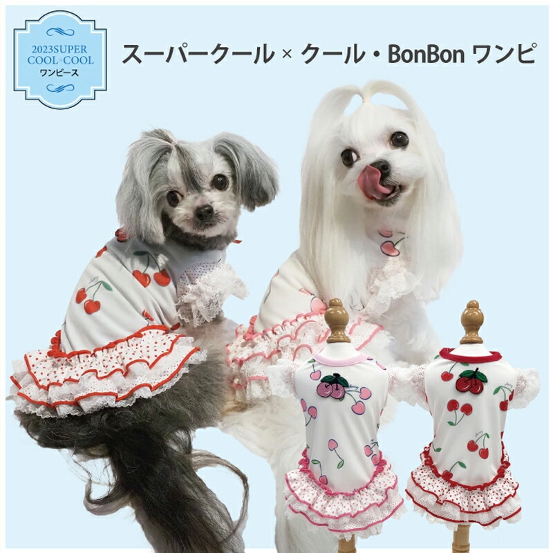 ƥ饯롦BonBon