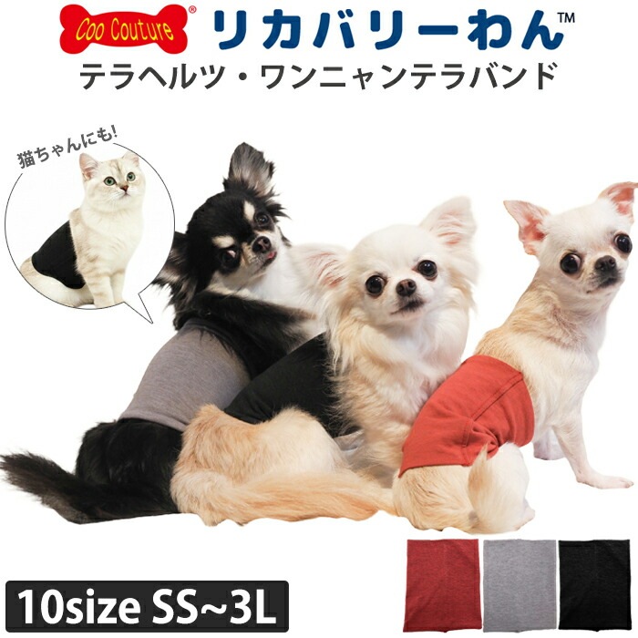レビューで300円クーポン進呈》リカバリーわん(旧テラヘルツワン