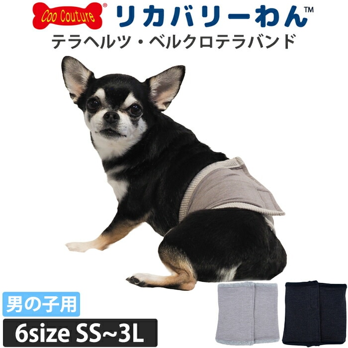 テラヘルツワン・ベルクロテラバンド男の子用用品 犬用 腹巻シニア犬