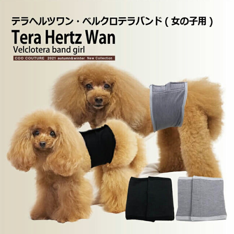 テラヘルツワン・ベルクロテラバンド女の子用ペット介護用品 犬用 腹巻 小型犬 シニア犬 ドッグウェア 犬服 日本製 メール便1点まで 1メ-2運  7220g 【T】【送料無料】