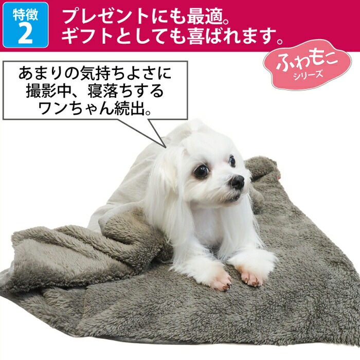 リカバリーわん（テラヘルツワン）ボアブランケット 犬ブランケット