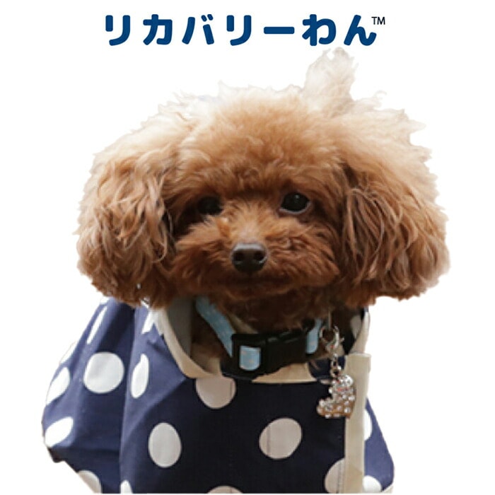 リカバリーわん（旧テラヘルツワン）ハートチャーム Lサイズ 犬用