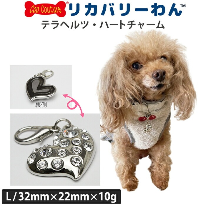 リカバリーわん（旧テラヘルツワン）ハートチャーム Lサイズ 犬用