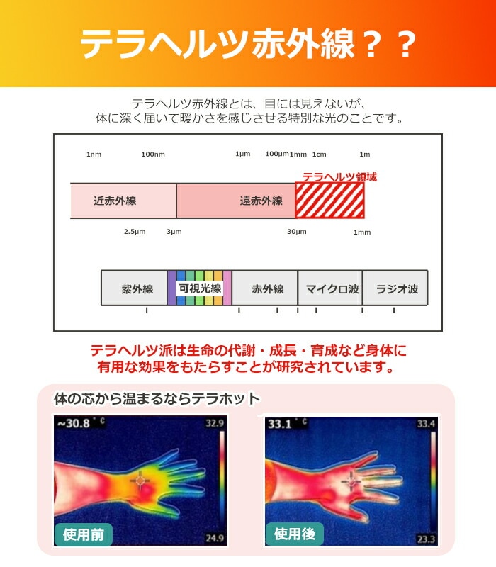 �ƥ�إ���ֳ���