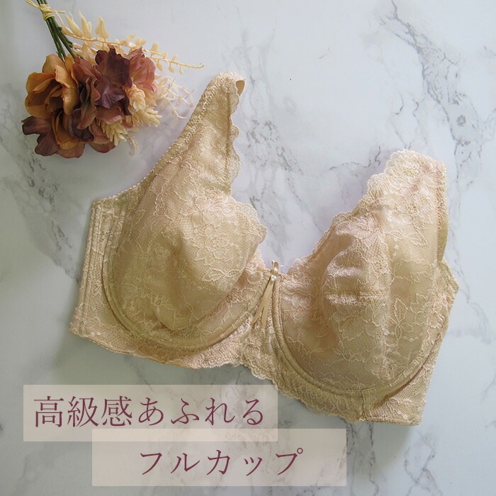YTC22 �ƹ�ե륫�åץ֥饸�㡼