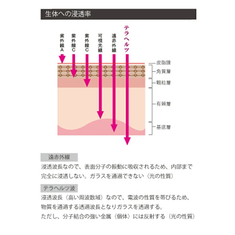 テラヘルツの生体への効果 - 健康用品、健康器具