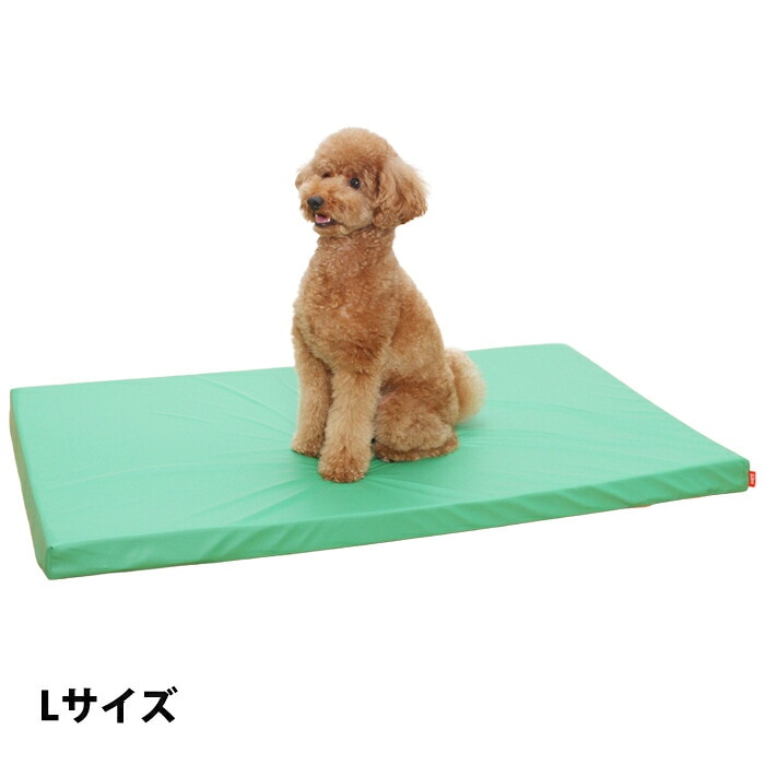 Lサイズ大きさ height=