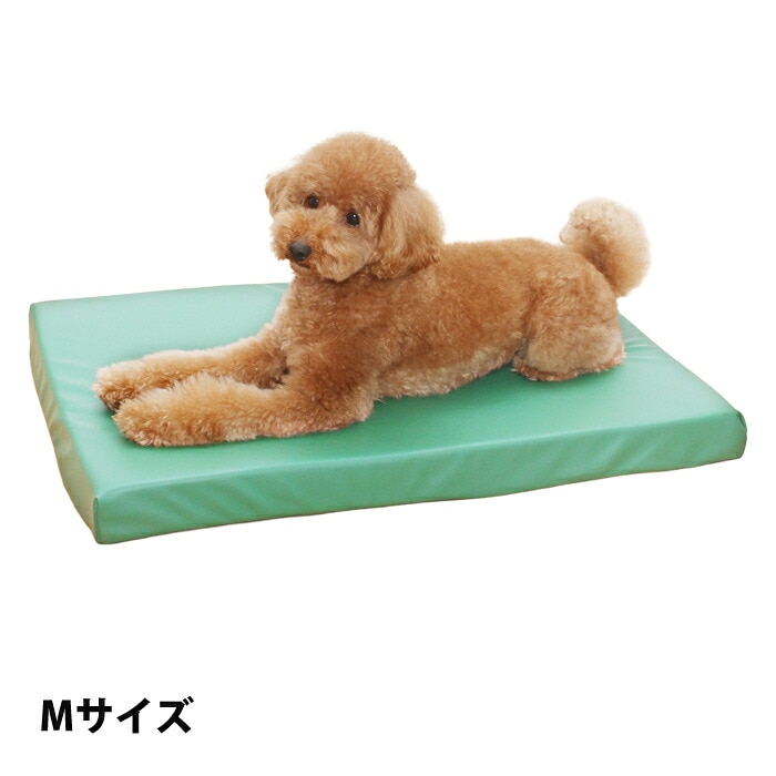 Mサイズ大きさ height=