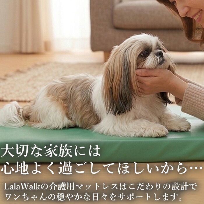 ��饦���������᡼��