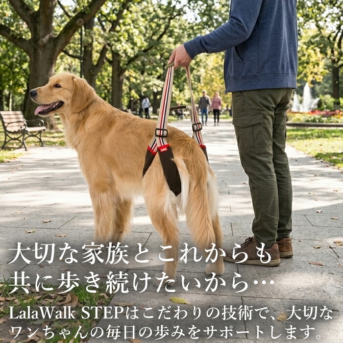 ��饦���������᡼��