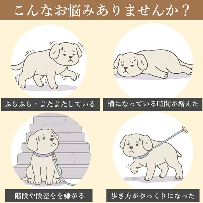 ����ʤ�Ǻ�ߤ���ޤ��󤫡�