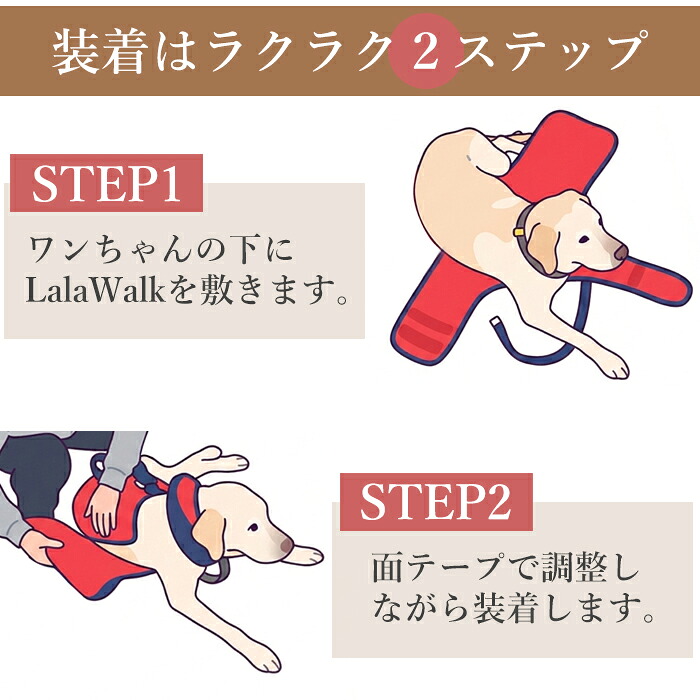 ������ˡ