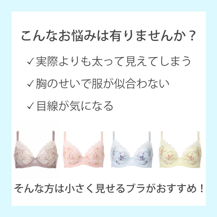 �拾���� Wacoal �礭�ʶ��򾮤���������֥� BRB453