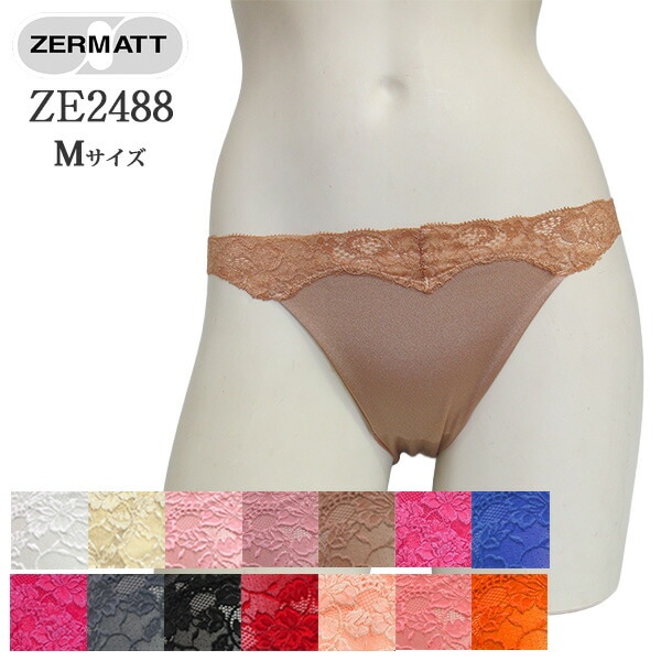 �ѥ�ͥå� ���硼�ȥ�󥰥� ZE2488