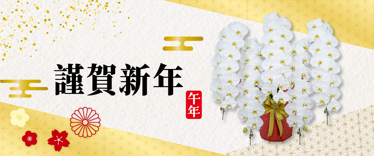謹賀新年 仕事始め1月5日より通常営業 胡蝶蘭専門店EFLA