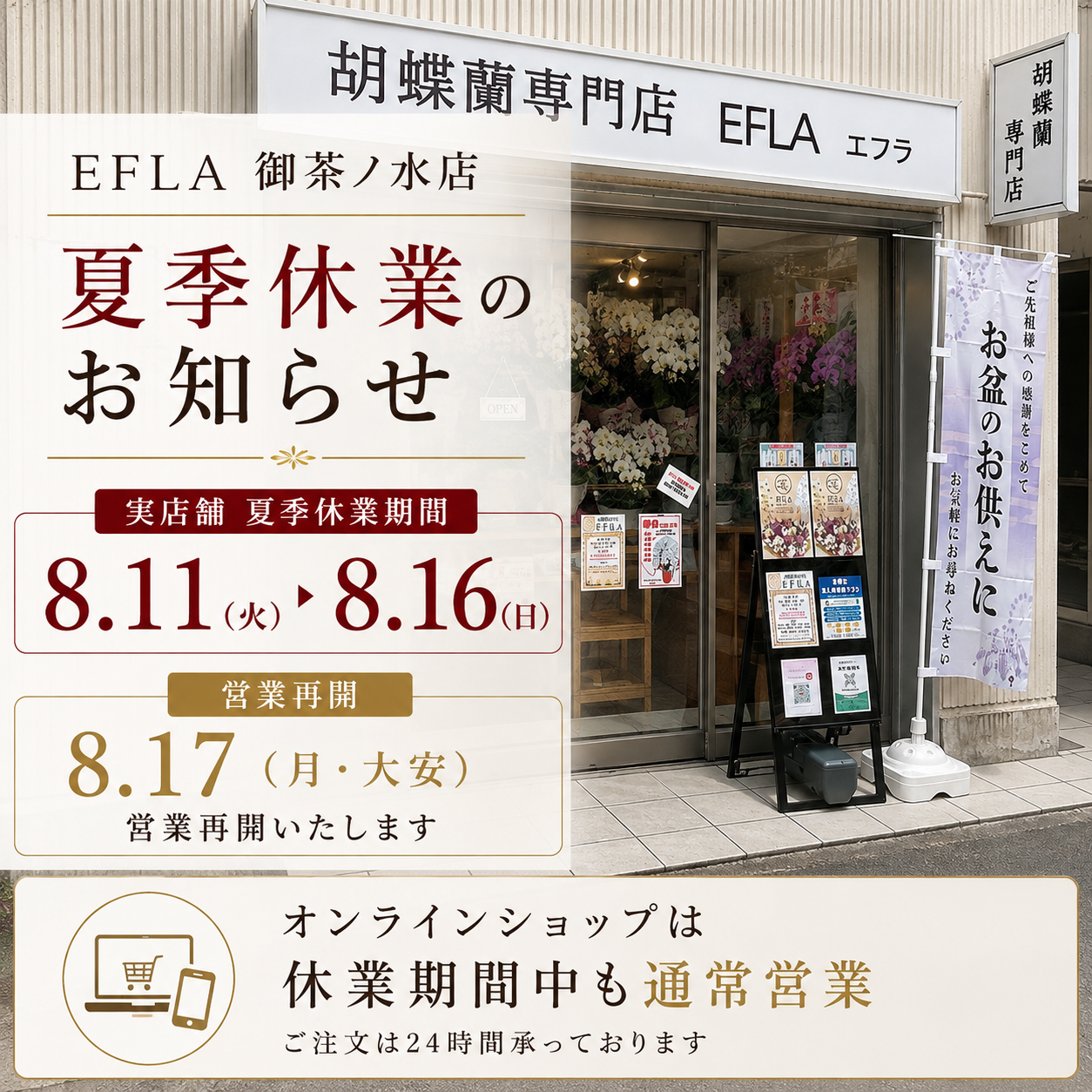 胡蝶蘭専門店EFLA御茶ノ水店 2026年8月夏季休業と8月17日営業再開のお知らせ