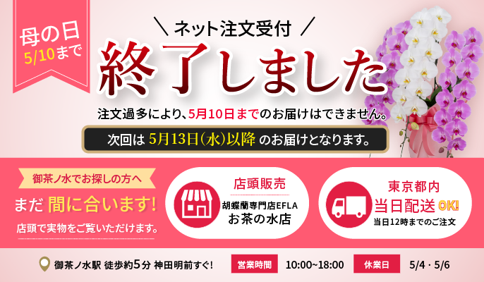 母の日ネット注文終了のお知らせ 胡蝶蘭ギフト 御茶ノ水 花屋 EFLA 東京 当日配送対応 店頭販売あり