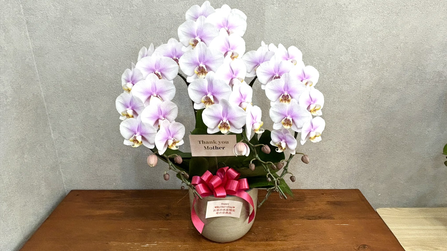 母の日におすすめの胡蝶蘭ギフト 御茶ノ水の花屋EFLA 人気のフラワーギフト