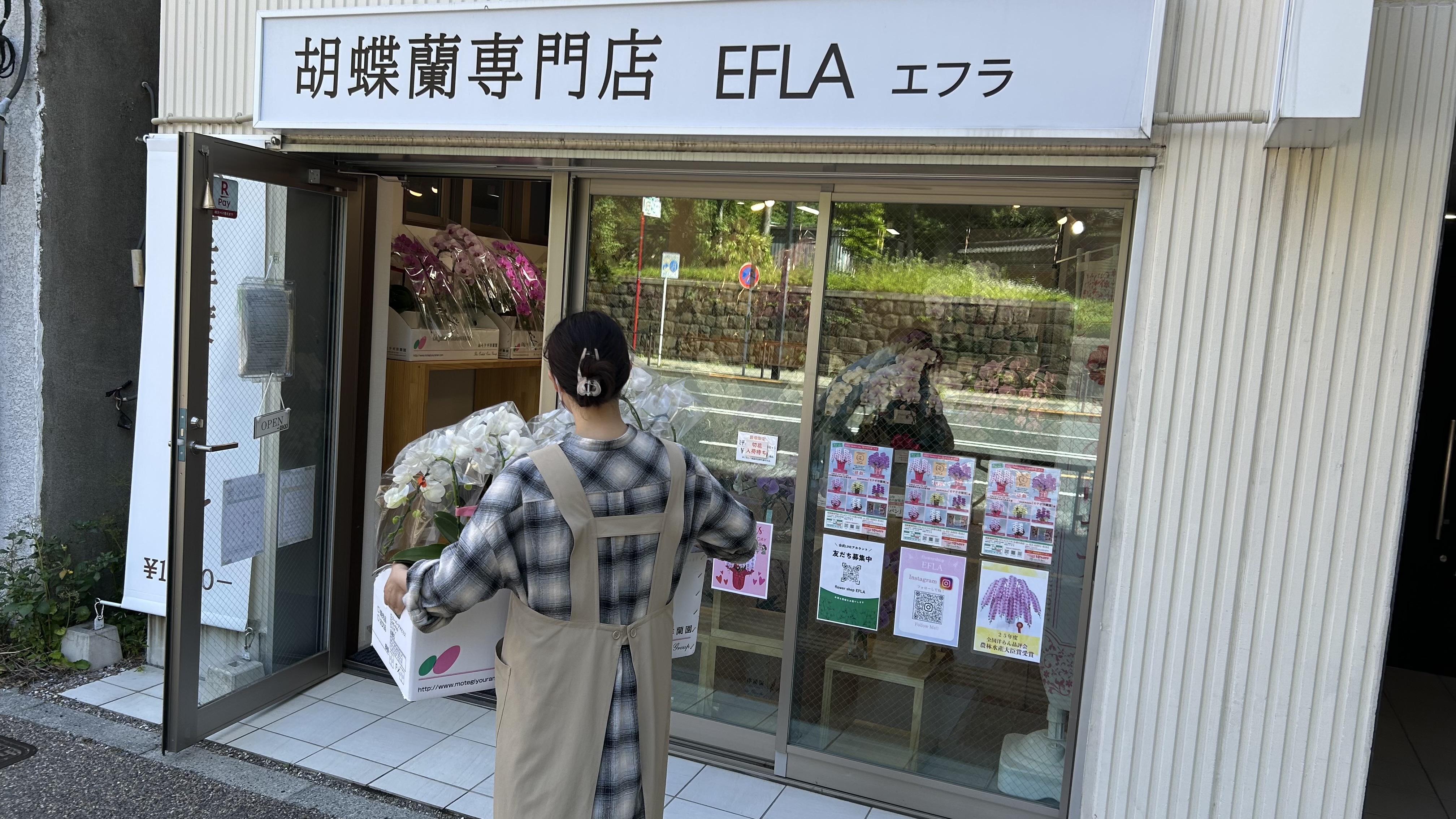 東京都内へ胡蝶蘭を当日配送する御茶ノ水の花屋EFLA 母の日フラワーギフト対応