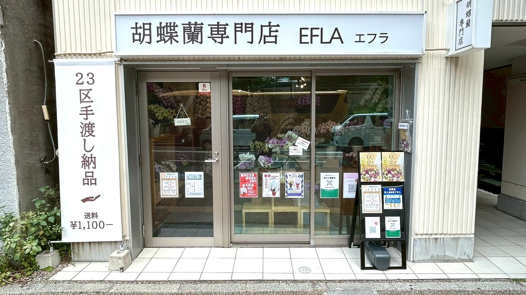 御茶ノ水の胡蝶蘭専門店EFLAお茶の水店 店舗看板 神田明神前の花屋