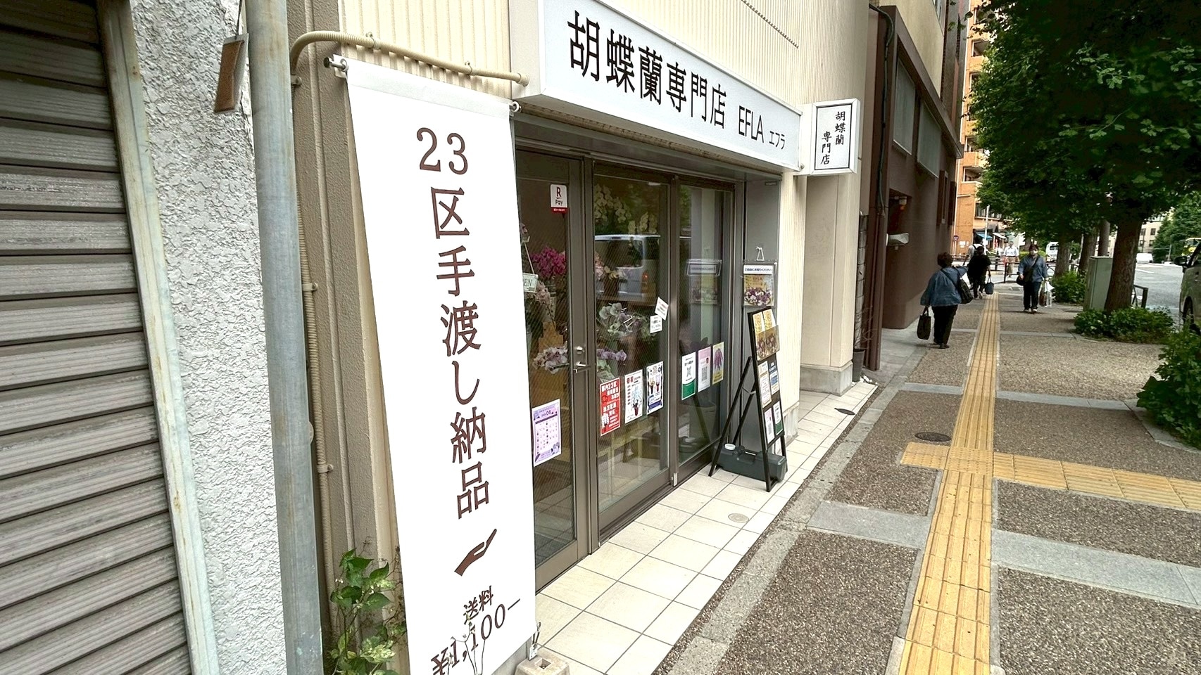 御茶ノ水の胡蝶蘭専門店EFLAお茶の水店 店舗外観 神田明神前