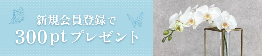 新規会員登録で300ptプレゼント