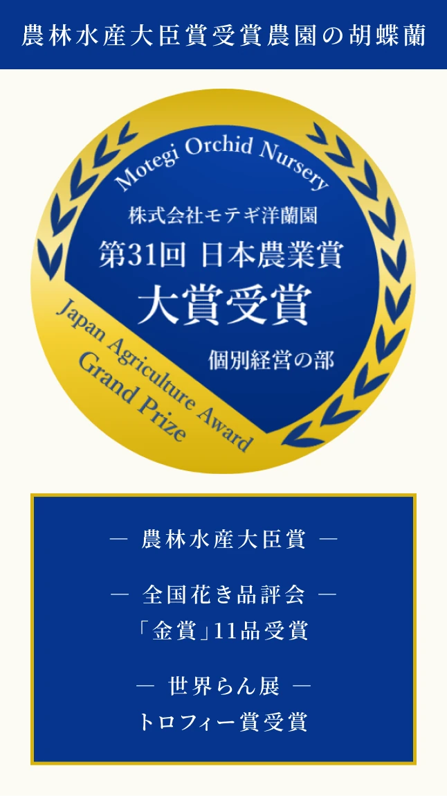 農林水産大臣賞受賞農園の胡蝶蘭