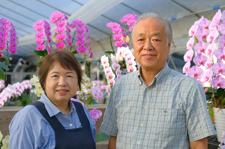 胡蝶蘭の生産地と特別栽培｜花持ち重視