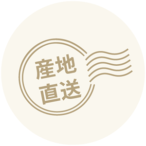 胡蝶蘭の産地直送｜生産者モテギ洋蘭園から直送で新鮮