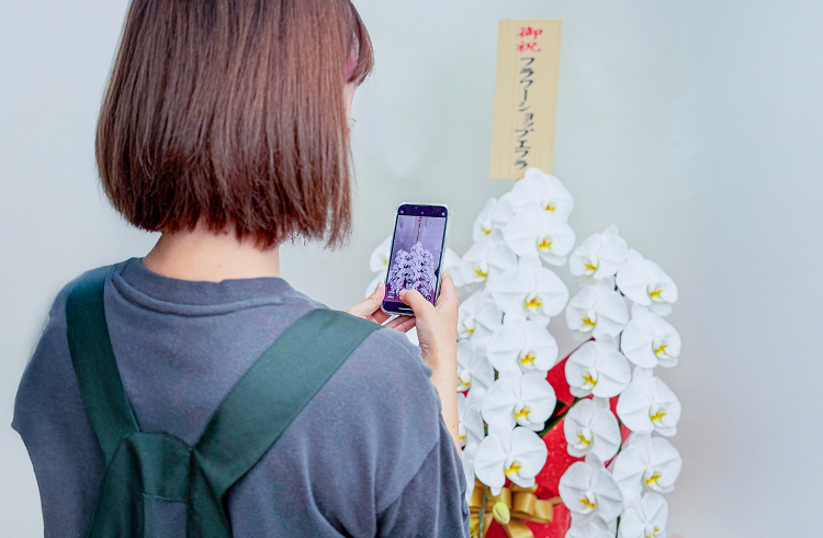 胡蝶蘭ギフトの写真送付｜無料サービス